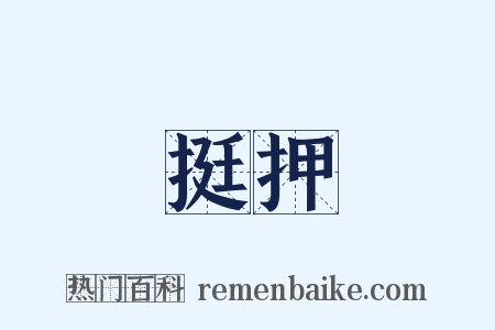 挺押是什么意思的图片